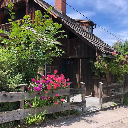 Chalet Ramsau 8 Bad Goisern Zewnętrze zdjęcie