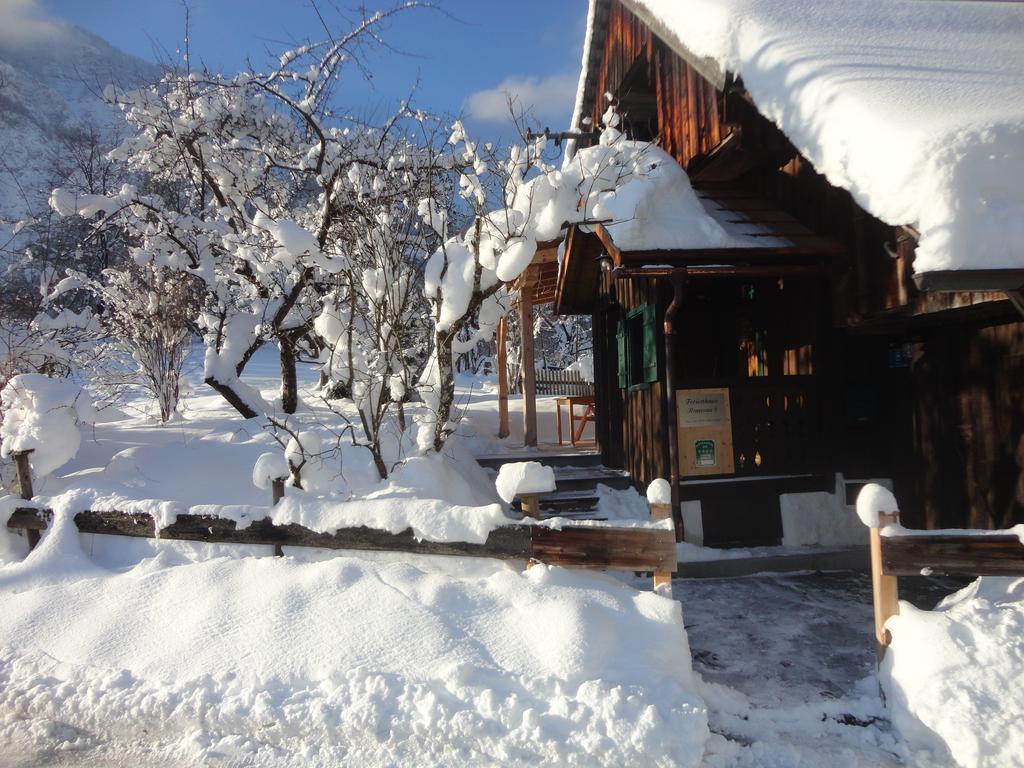 Chalet Ramsau 8 Bad Goisern Zewnętrze zdjęcie