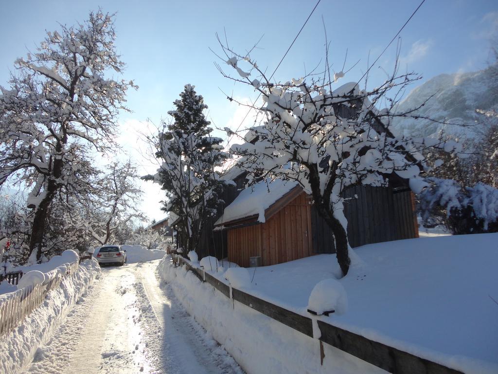 Chalet Ramsau 8 Bad Goisern Zewnętrze zdjęcie